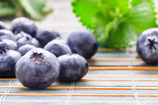 Top 10 Best Brain Foods. Consume and Thrive