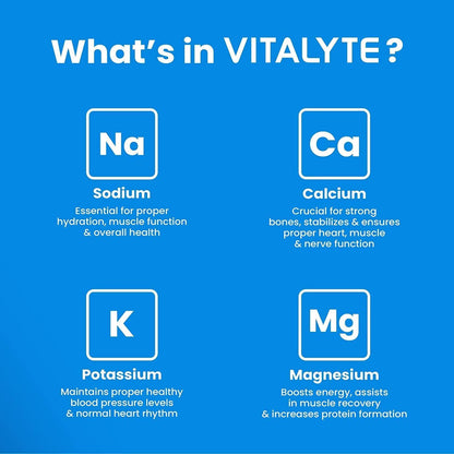 Vitalyte Electrolyte Powder Drink Mix Bundle, 1 Standup Pouch + 25 Count Packet, Citrus Flavor